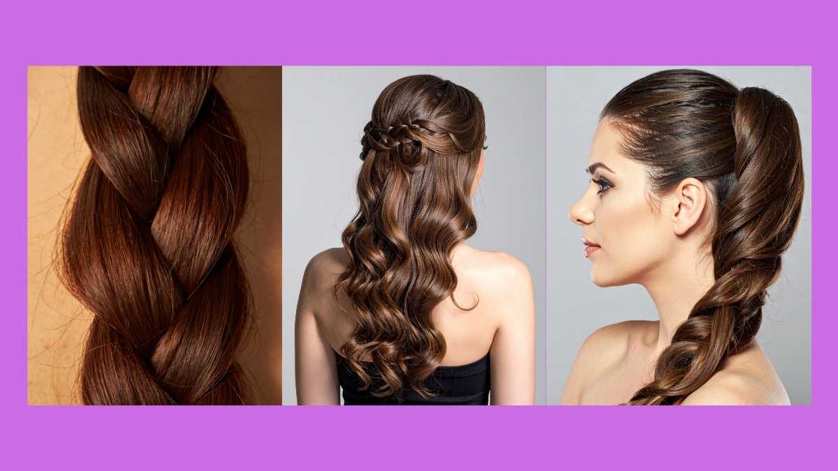 urso de Tranças online